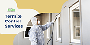 Termite Control Services in Hyderabad, Anti Termite Treatment