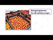 Packaging Solutions For E commerce - Multipack Industries