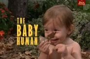 El bebé humano: hablar (The baby human: to talk)