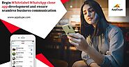 Begin Whitelabel WhatsApp clone app development and ensure seamless business communication - Tindercreeps.com