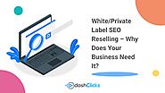 White/Private Label SEO Reselling – Why Does Your Business Need It?