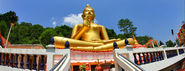 Explore the Temples of Phuket