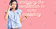 analyzing the competition in niche marketing
