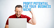 Profit potential for your business niche