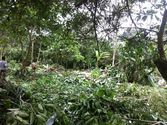 Vendo Terreno En Tena-napo Amzonia -via Pano ,barrio San Jorge Con Rio En Frente Napo Ecuador - Propiedades - Locales