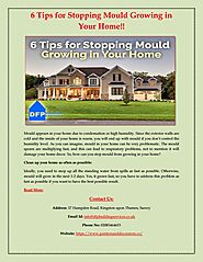 6 Tips for Stopping Mould Growing in Your Home!! by DFP Building Services - Issuu