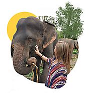 BEST ELEPHANT PARKS & SAFARIS ON BALI | balidriver.io