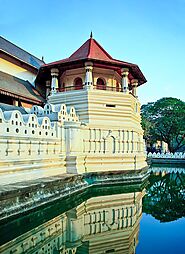 Visit the Temple of the Sacred Tooth Relic