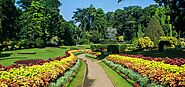 Take a walk in the Royal Botanical Garden – Peradeniya
