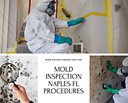 Mold Inspection Naples FL
