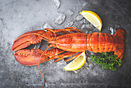 Buy Lobster Cooked 5-600grams Online at the Best Price, Free UK Delivery - Bradley's Fish