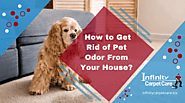 How To Get Rid Of Pet Odor From Your House | Roseville, CA