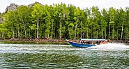 Belungkor mangroove eco tour