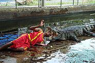 Visiting Desaru crocodile farm