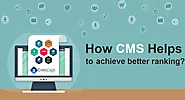 Does The CMS Helps To Achieve SERP Ranking