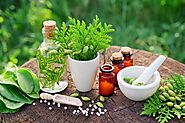 Best Online Herbal Products In 2021 - Information For Families