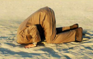 Γιατί ο Στουρνάρας χώνει το κεφάλι του στην άμμο; | Rizopoulos Post