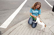 Dog Tips by Neighborhood | Swifto | Dog Walking with GPS Tracking in NYC and Miami