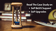 The Case study on SAP BASIS support and SAP Upgrades