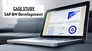 Case Study Report on SAP BW Development
