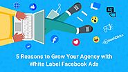 5 Reasons to Grow Your Agency with White Label Facebook Ads