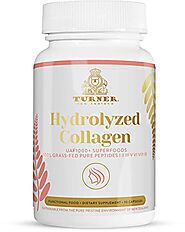 Best Hydrolyzed Collagen Supplements