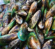 New Zealand Green-Lipped Mussel Oil: What Should I Know?
