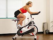 Sunny Health & Fitness Premium Indoor Cycling Exercise Bike Review