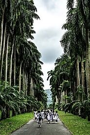 The Royal Botanical Gardens of Kandy