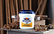 Fevicol – India’s Most Trusted Brand| Pidilite | Pidilite