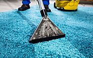 How often should you opt for professional carpet cleaning?