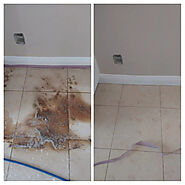 Quality Tile And Grout Cleaning in Roseville CA