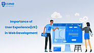 Importance of User Experience(UX) in Web Development - Techno Infonet