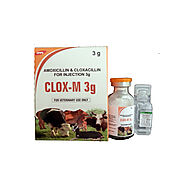 Livestock Veterinary Medicines: Injections & Powder – Intracin  ::  Intracin Pharmaceutical Pvt. Ltd. - Veterinary su...