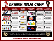 Register for Summer Camps in Milton and Oakville | Dragon Taekwondo Academy