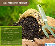 Comprehensive Report On Biofertilizers Market