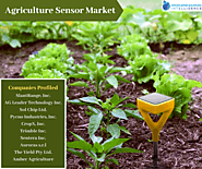 Comprehensive Study On Agriculture Sensor Market