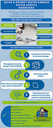 Quick And Prompt Water Damage Repair Service Homestead [Infographic]