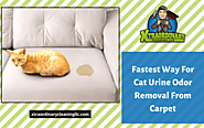 Fastest Way For Cat Urine Odor Removal From Carpet | Lakeland