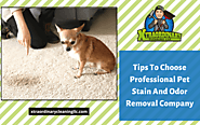 Tips To Choose Professional Pet Stain And Odor Removal Company