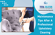 Maintenance Tips Of Professional Upholstery Cleaning | Elgin IL
