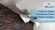 5 Tips To Choose Trustworthy Water Damage Repair Company With Infographic