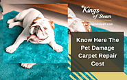 Know Here The Pet Damage Carpet Repair Cost | Castle Rock CO
