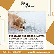 Pet Stains and Odor Removal Services in Castle Rock CO