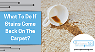 What To Do If Stains Come Back On The Carpet | Hillsboro
