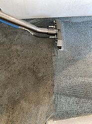 Professional Carpet Cleaning in Hillsboro, OR