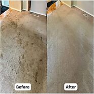 Ultimate Choice for Carpet Cleaning in Hillsboro OR
