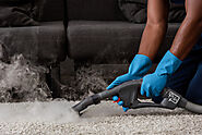 Pet Odor & Stain Removal Hillsboro OR | PNW Carpet Cleaning