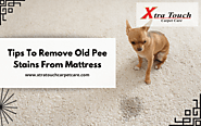 How To Remove Old Pee Stains From Mattress | Vancouver, WA