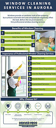 Professional Window Cleaning Services In Aurora [Infographic]